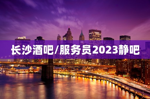 长沙酒吧/服务员2023静吧