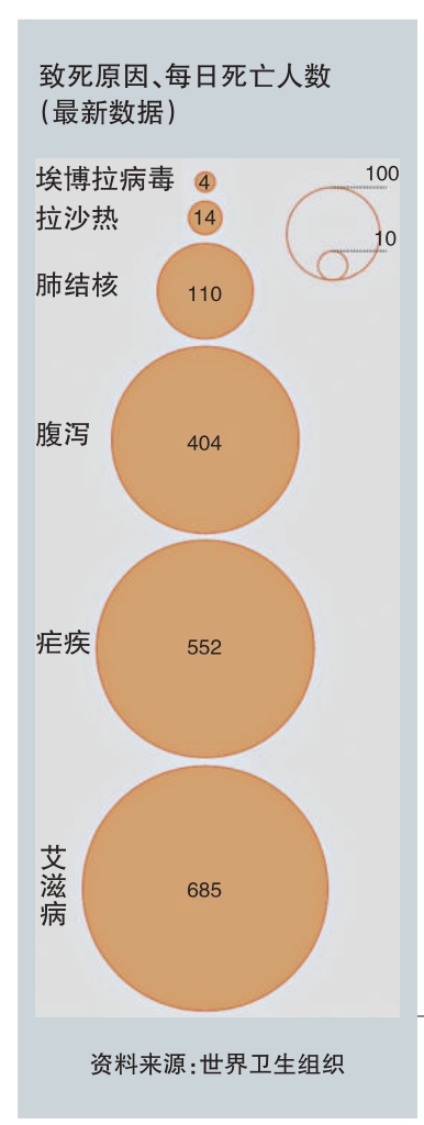 “肥尾效应”，无处不在！