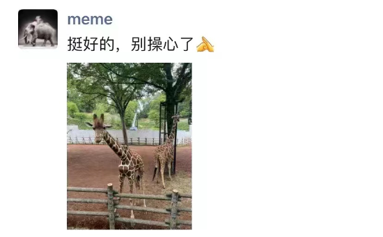 田朴珺疑似回应“与王石离婚”传闻：挺好的，别操心了