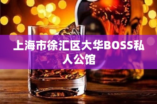 上海市徐汇区大华BOSS私人公馆