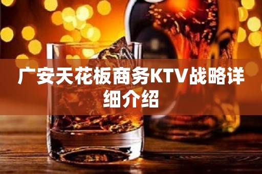 广安天花板商务KTV战略详细介绍