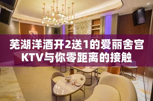 芜湖洋酒开2送1的爱丽舍宫KTV与你零距离的接触